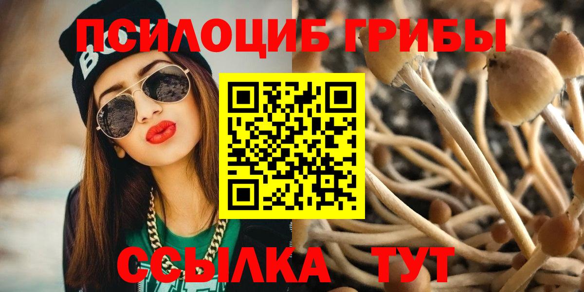 Псилоцибиновые грибы прущие грибы  Вход с VPN  Елец 