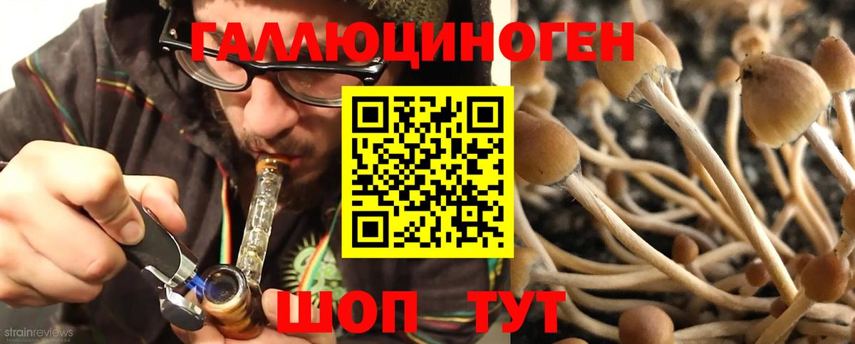 Галлюциногенные грибы MAGIC MUSHROOMS Елец